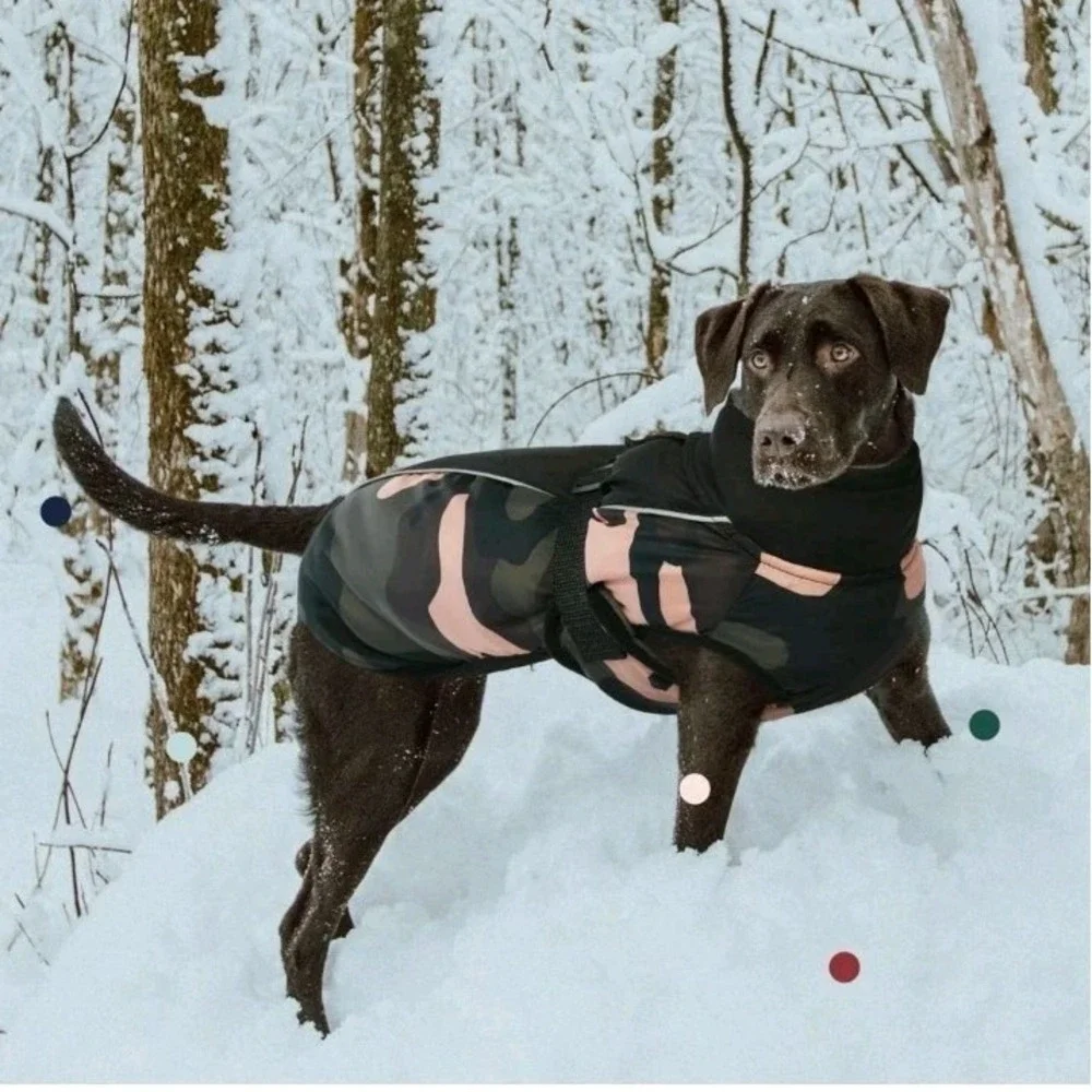 Iecoii Extra‎ Warm Dog Coat- Reflective Adjustable Jacket X LARGE